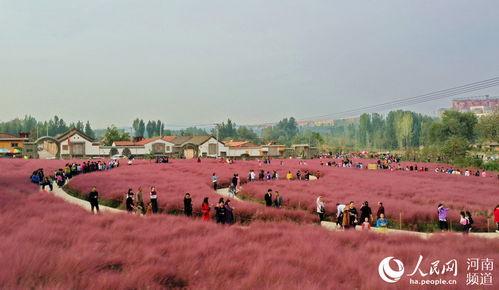 网红打卡地河南庄,网红打卡地的魅力之旅