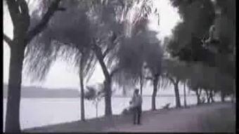 独白背景音乐,探寻音乐背后的故事