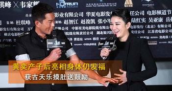 娱乐生子审美,明星生子审美潮流解析