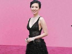 章子怡 娱乐圈,娱乐圈的璀璨明珠与她的辉煌历程