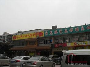 广州圣星娱乐,引领娱乐潮流的璀璨之星