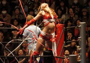 日本男子娱乐摔跤,激情四溢的竞技盛宴